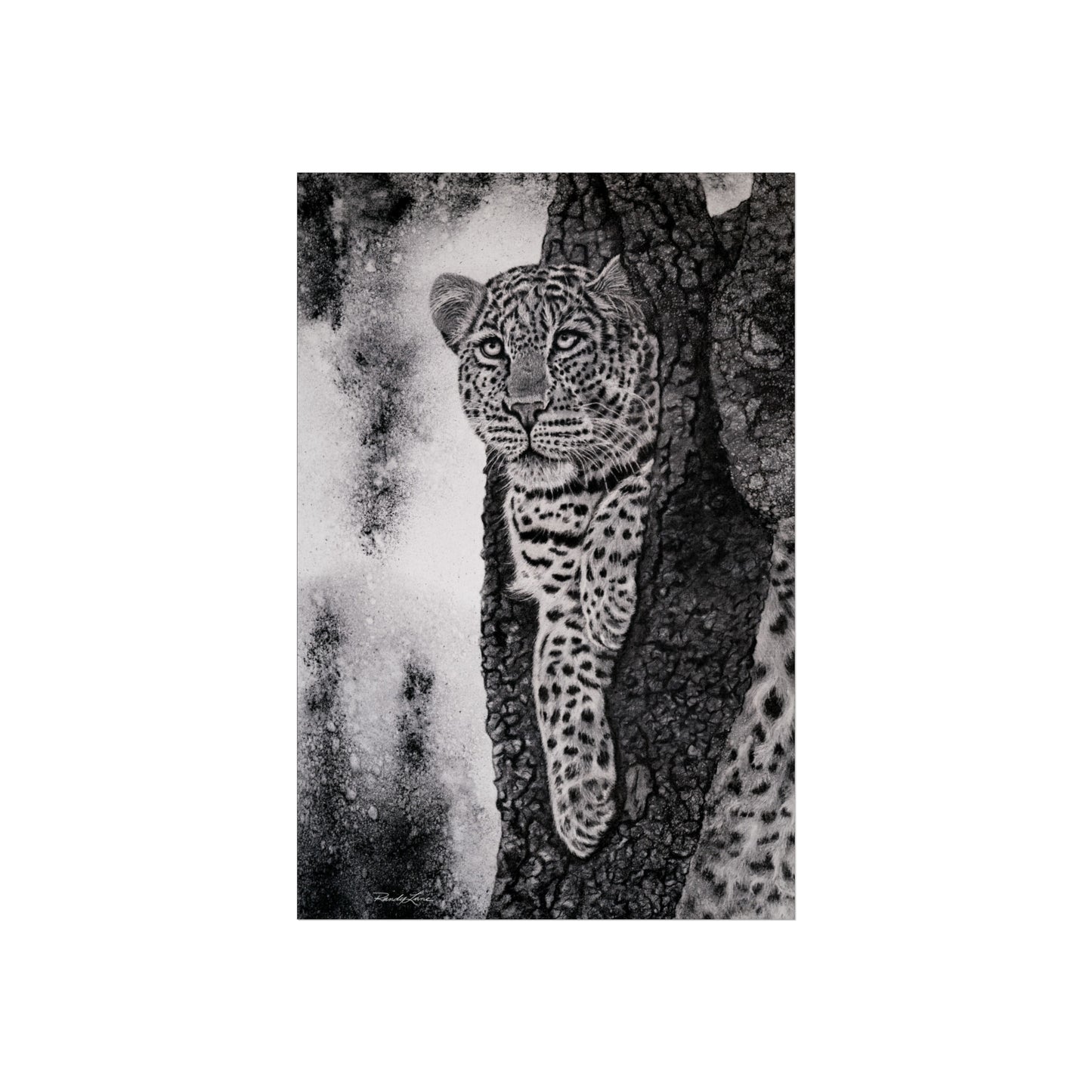Tree Hugger, Leopard Fine Art Print
