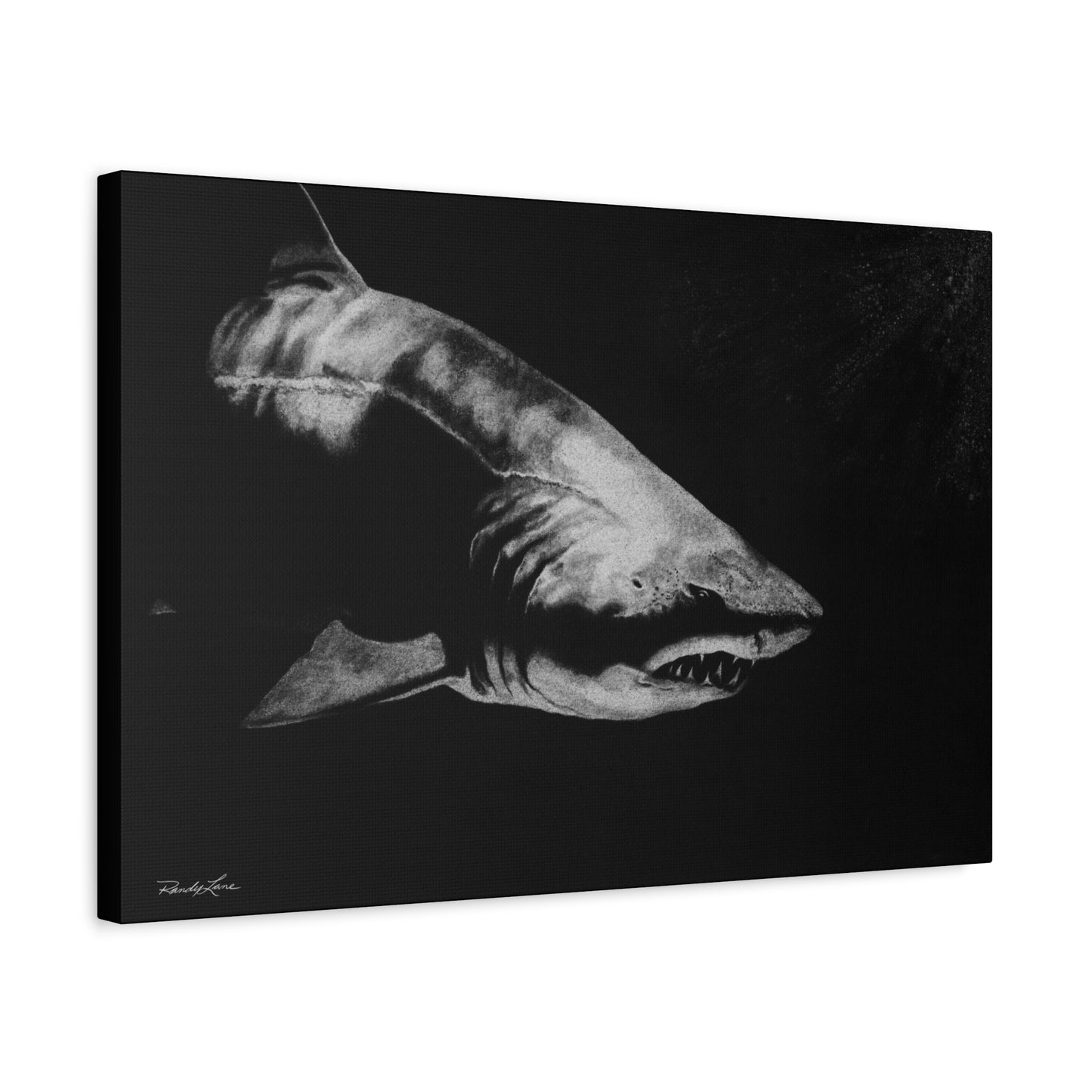 Below, Shark Fine Art Canvas Print