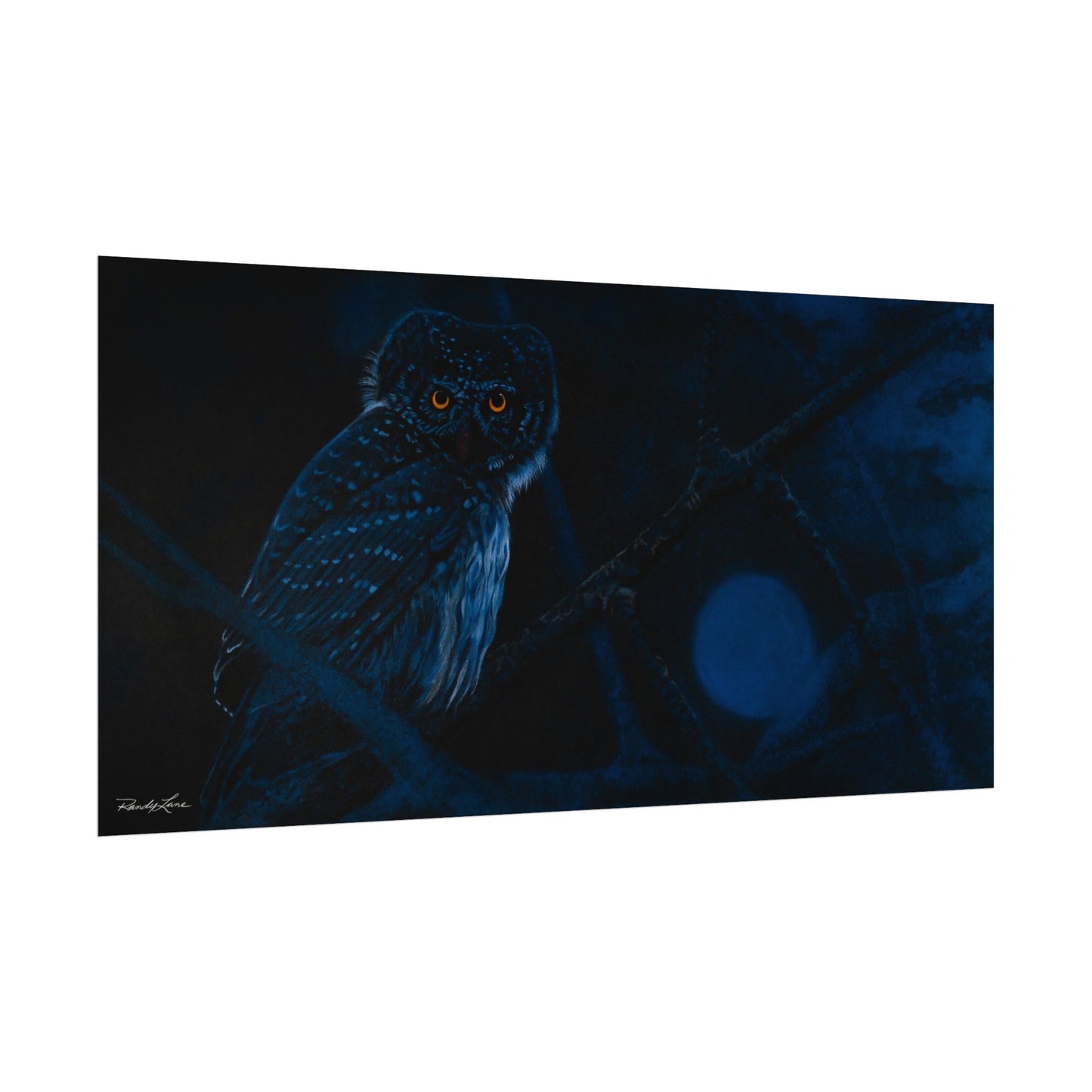 Bright Eyes, Owl Textured Art Print
