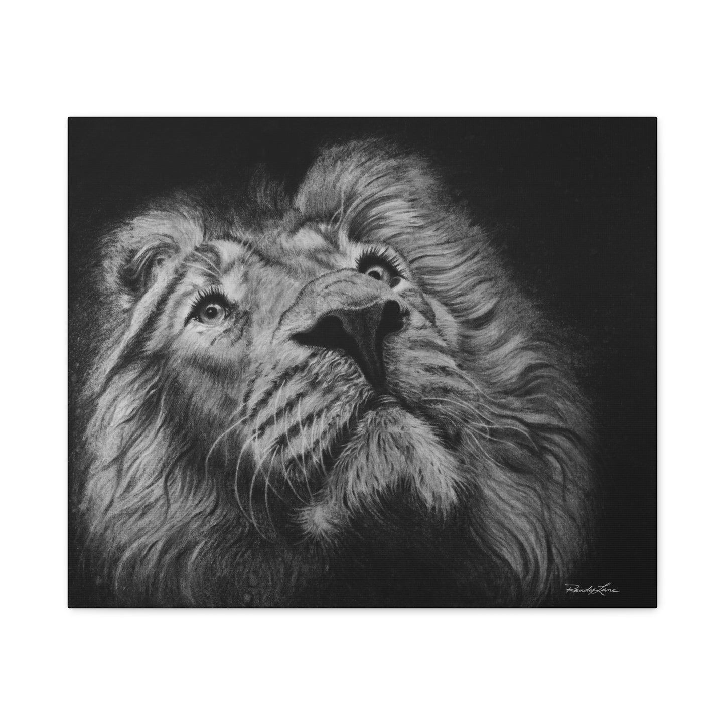 Renown, Majestic Lion Canvas Print