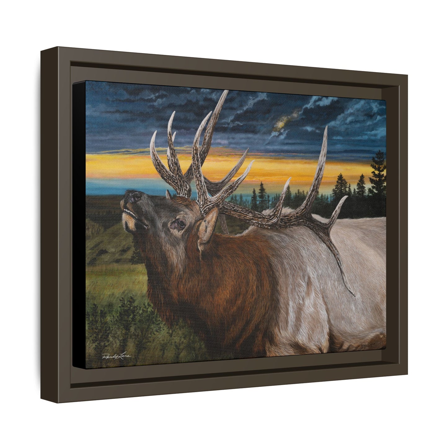 Sunset Serenade,  Elk Framed Matte Canvas Print