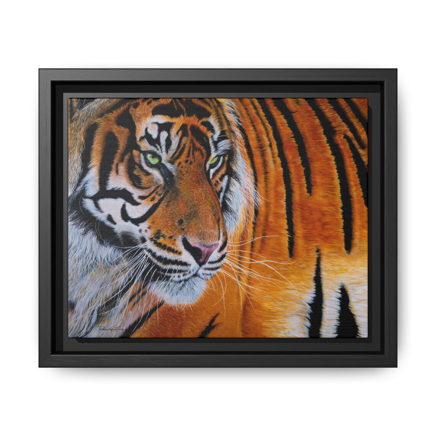 Tiger Stripe, Framed Tiger Canvas Print