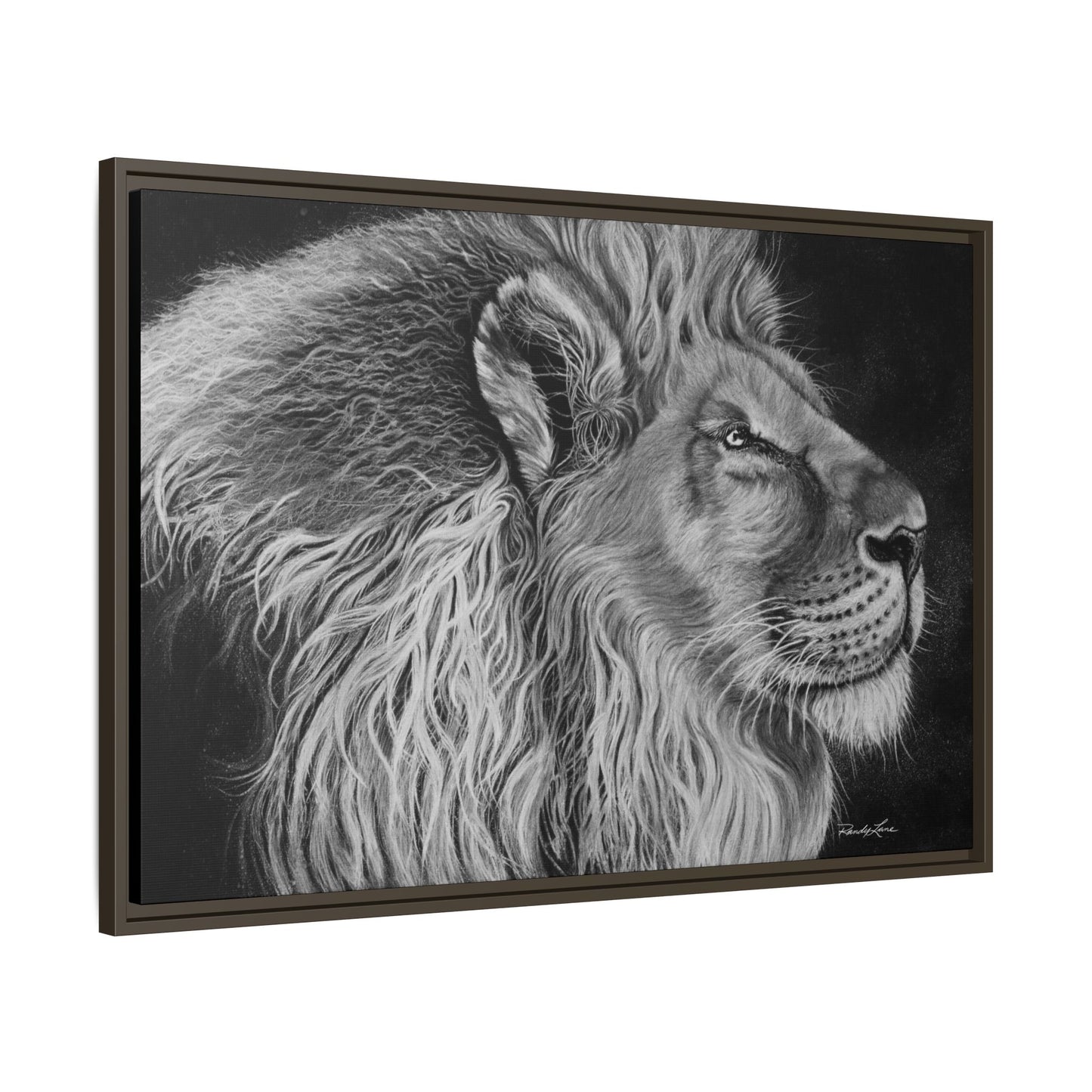 King of Cool, Majestic Lion Framed Canvas Art