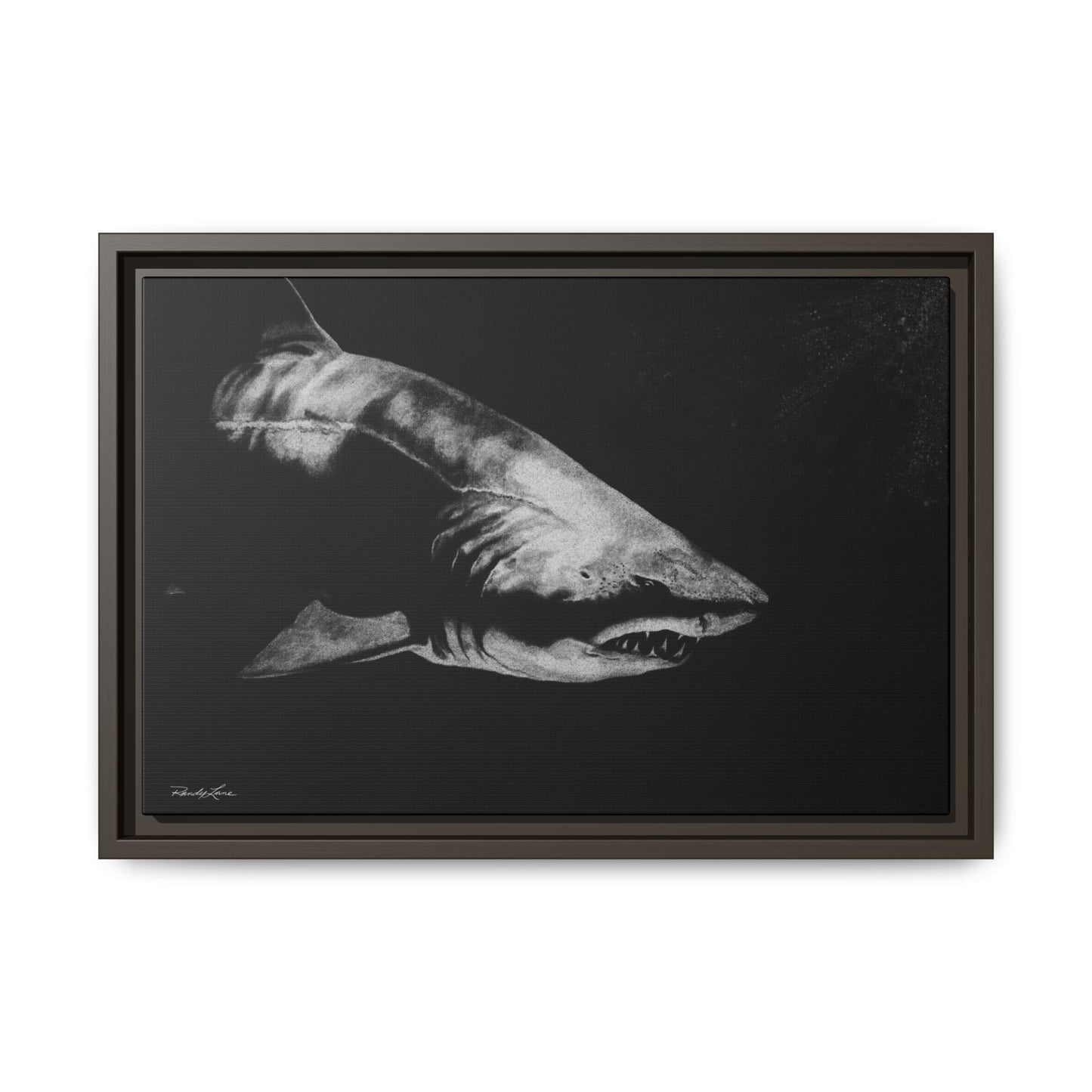 Below, Framed Shark Fine Art Print, Matte Canvas Wall Decor