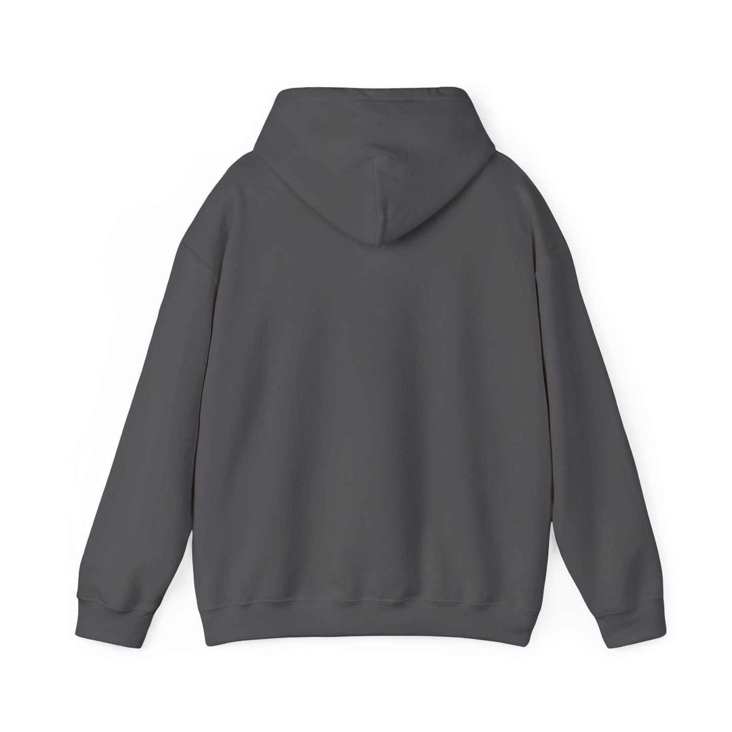 Windows to the Soul, Cozy Unisex Hoodie, Leopard Print Sweatshirt