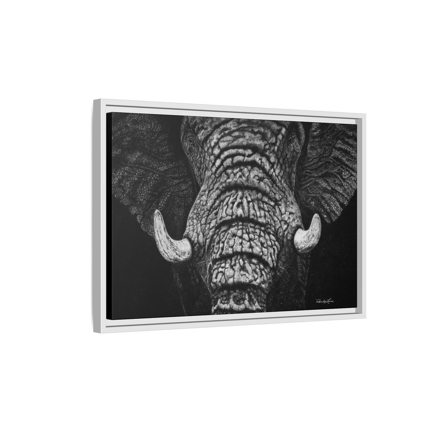 Ebony and Ivory, Elephant Portrait Framed Canvas Wall Art