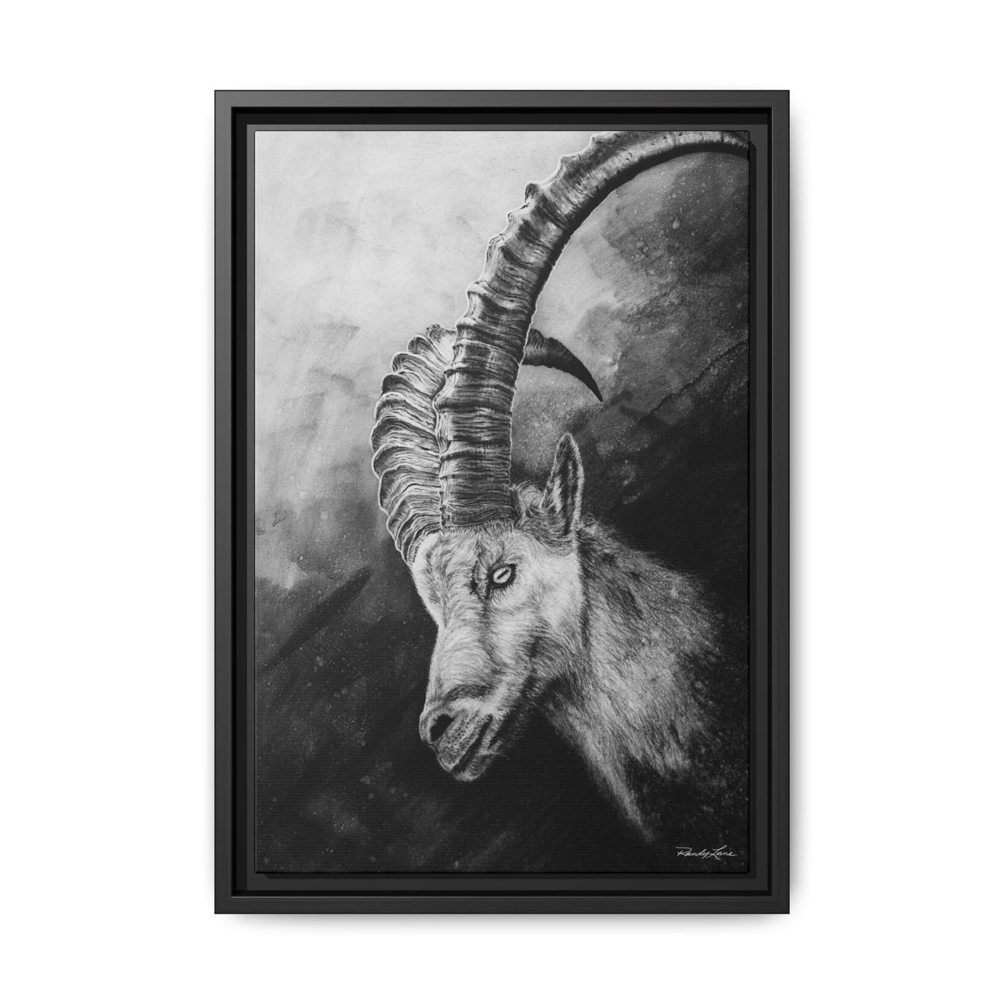 Apex,  Alpine Mountain Goat, Framed Matte Canvas Art Print,