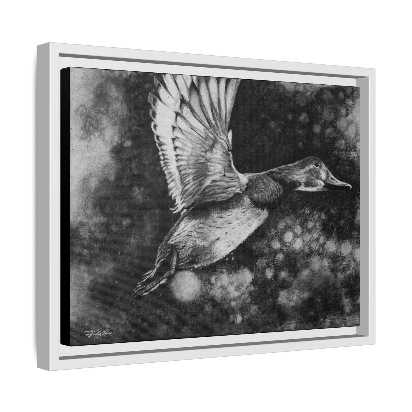 Flare, Framed Duck Canvas Art