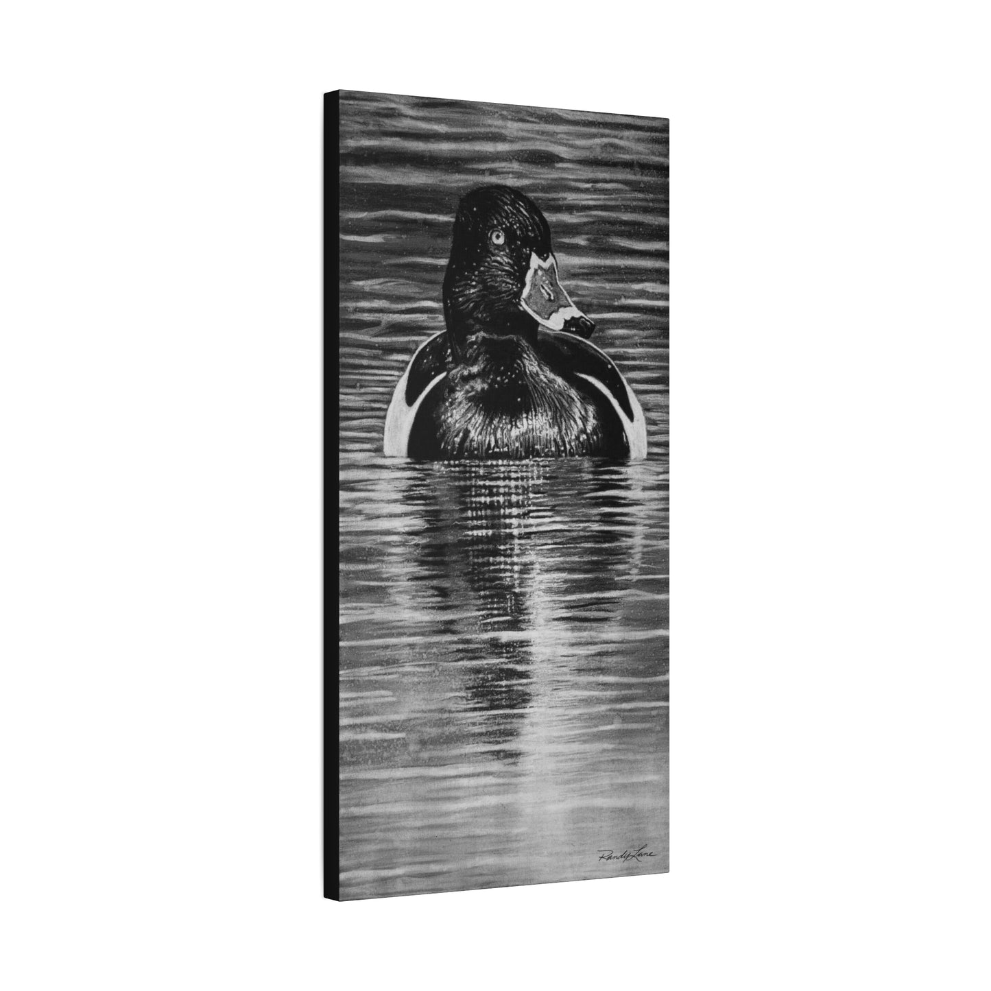 Reflection, Ring necked Duck Painting, Stretched Matte Canvas