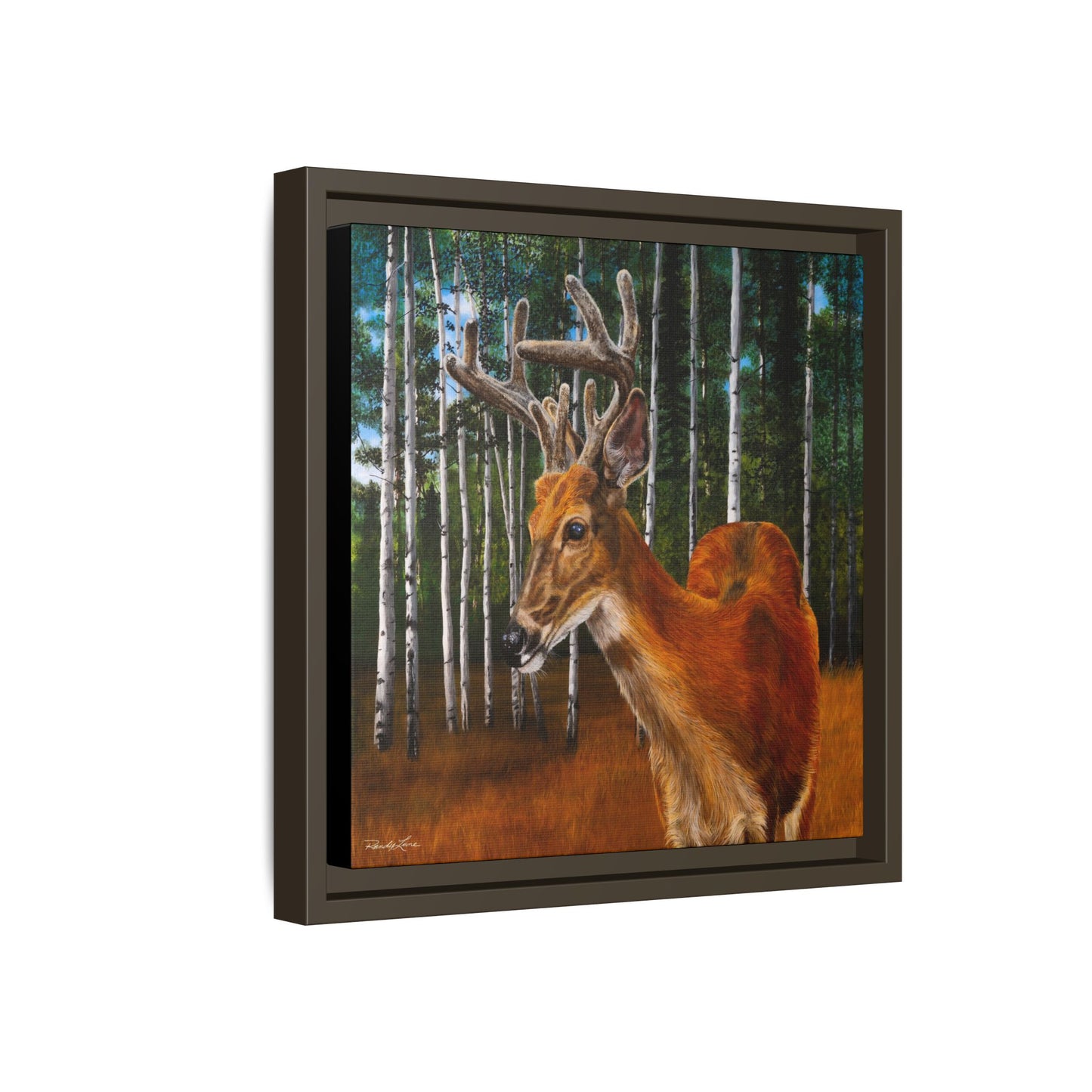 Velvet Crush, Framed Deer Canvas Art