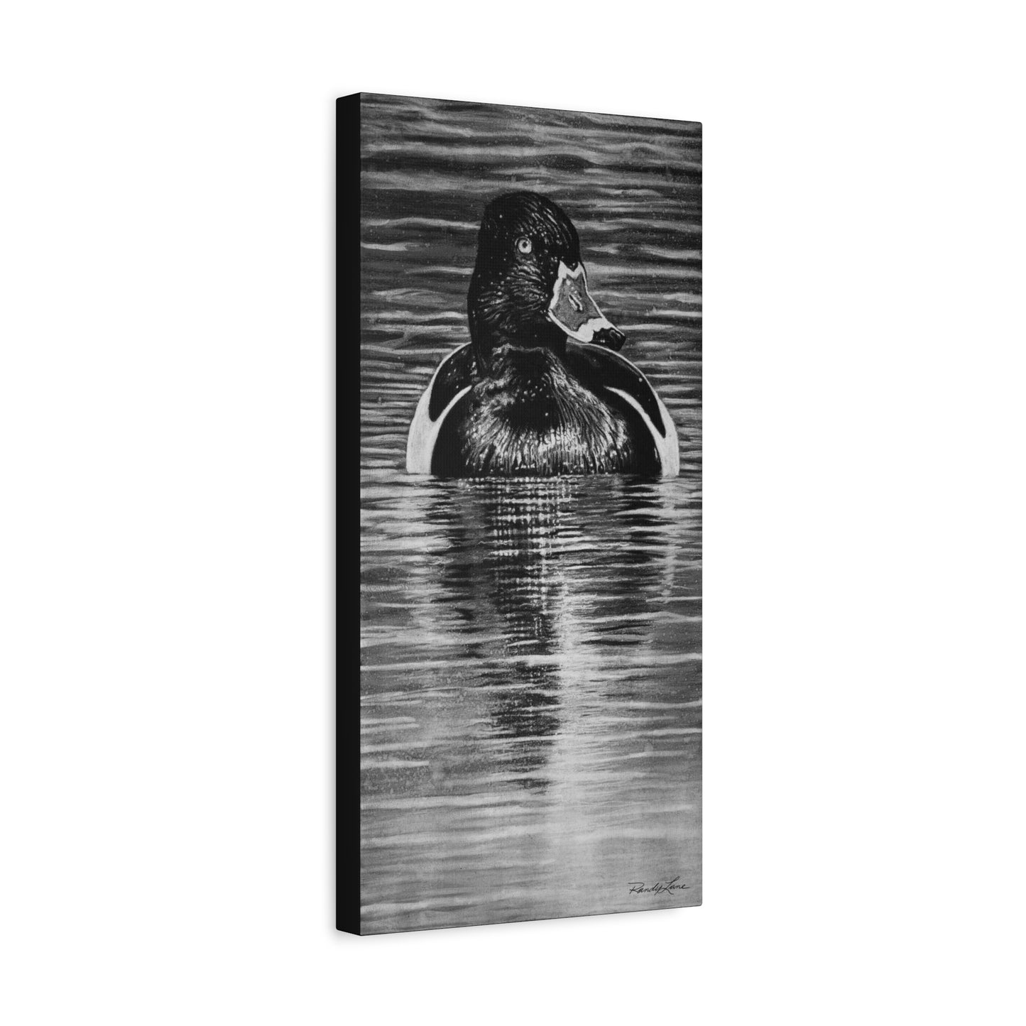 Reflection, Ring necked Duck Painting, Stretched Matte Canvas