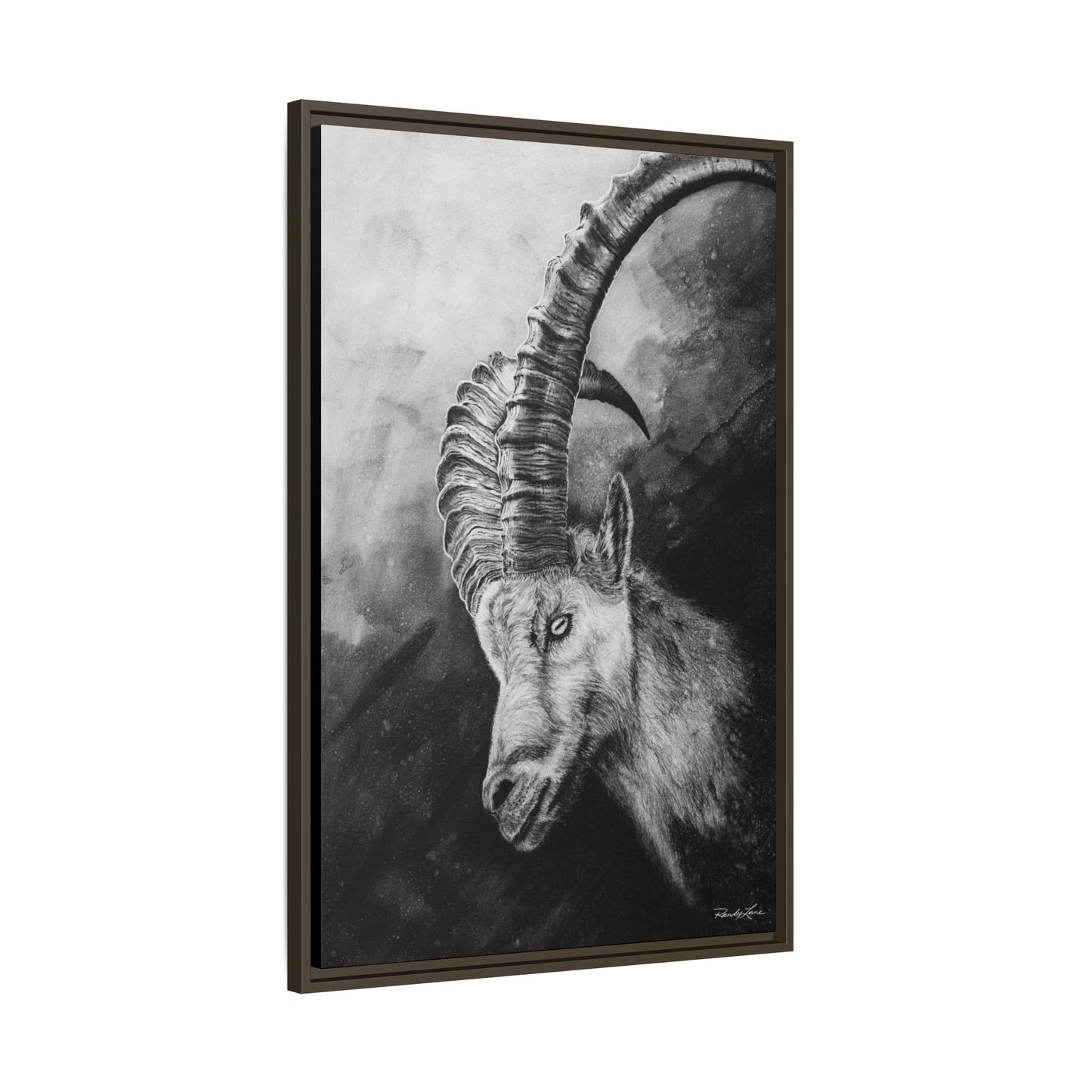 Apex,  Alpine Mountain Goat, Framed Matte Canvas Art Print,