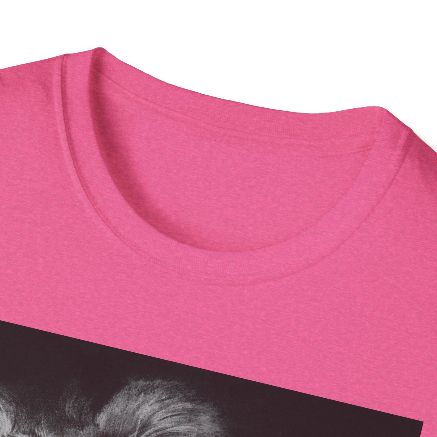 Renown, Lion Graphic T-Shirt, Unisex Lion Tee