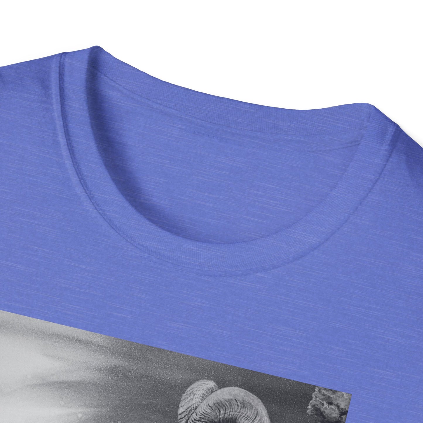 Legendary, Bighorn Sheep Unisex Softstyle Tee
