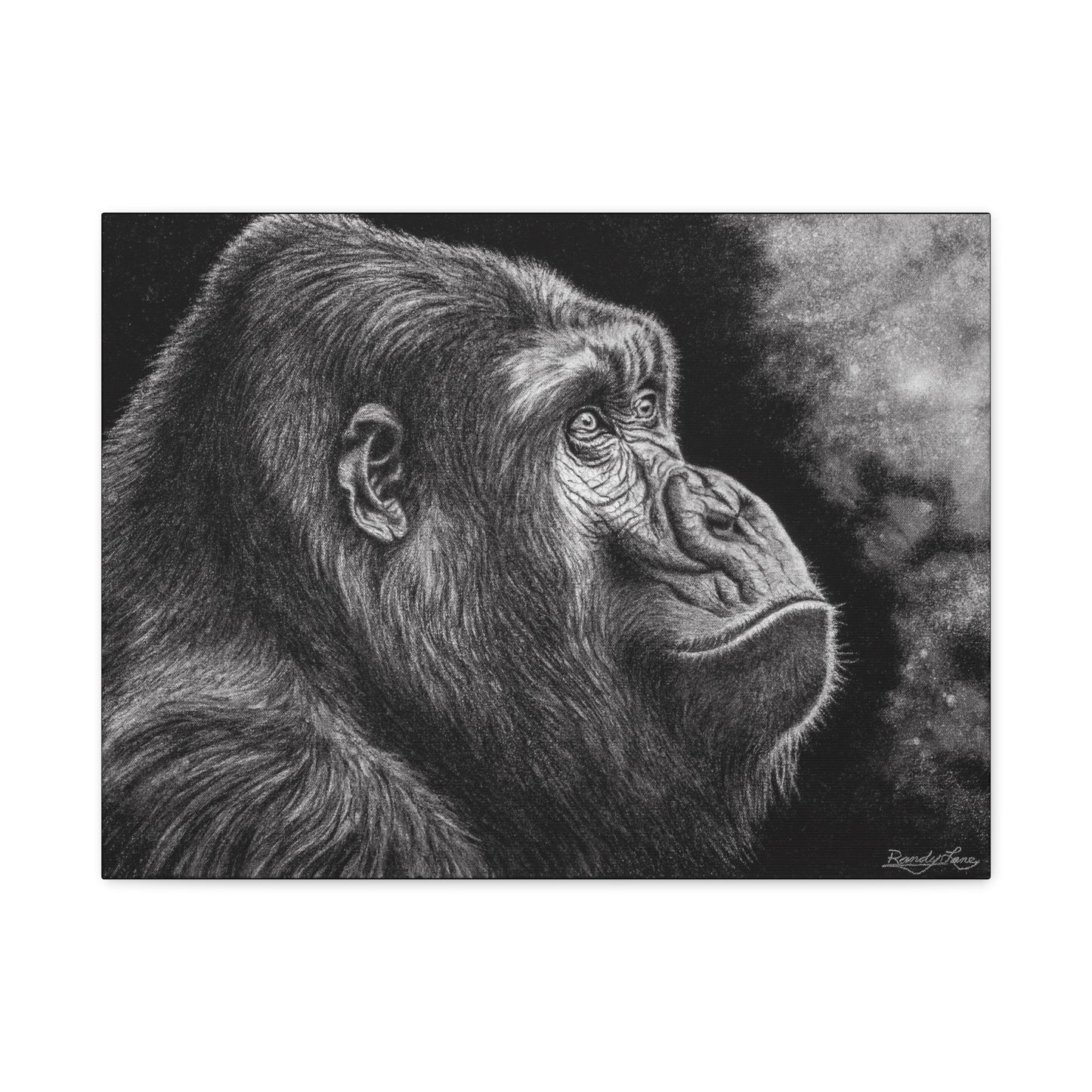 Gorilla, Artistic Gorilla Stretched Canvas Wall Art