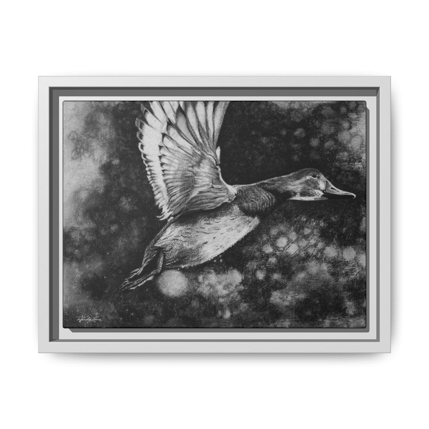 Flare, Framed Duck Canvas Art