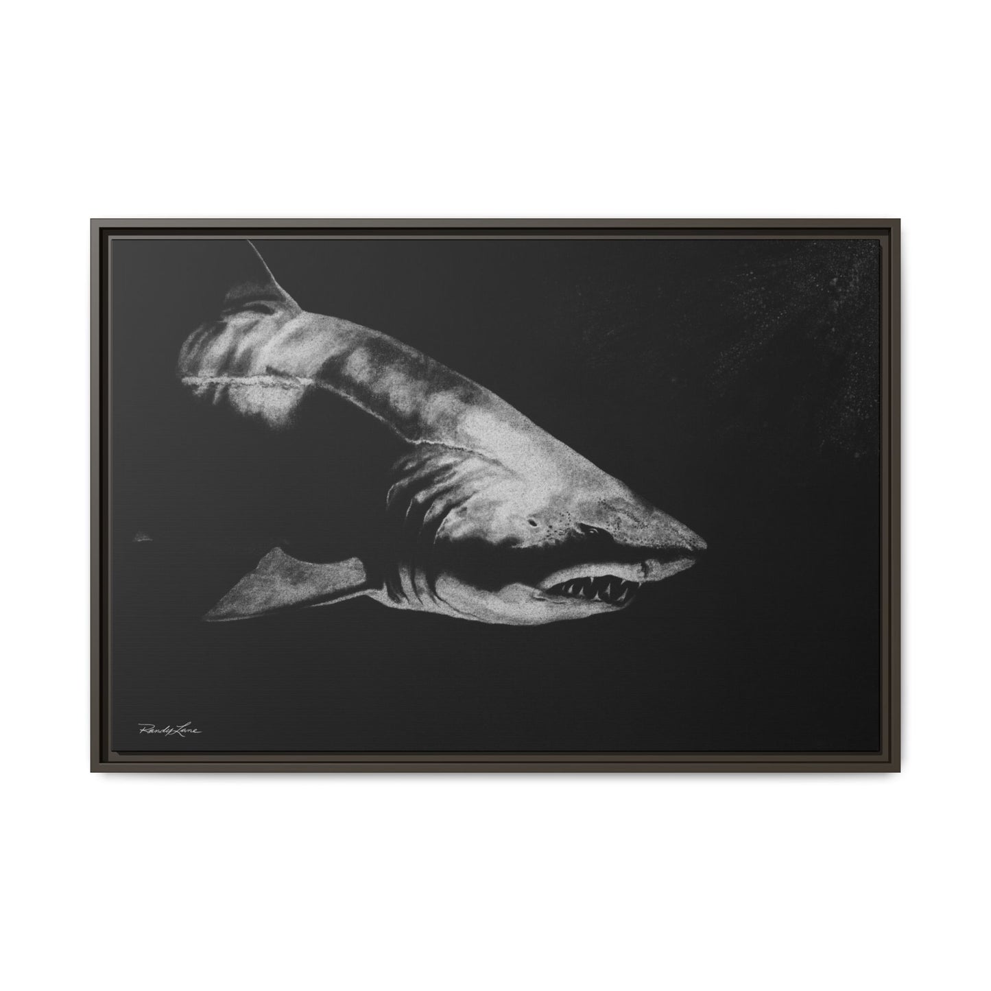 Below, Framed Shark Fine Art Print, Matte Canvas Wall Decor