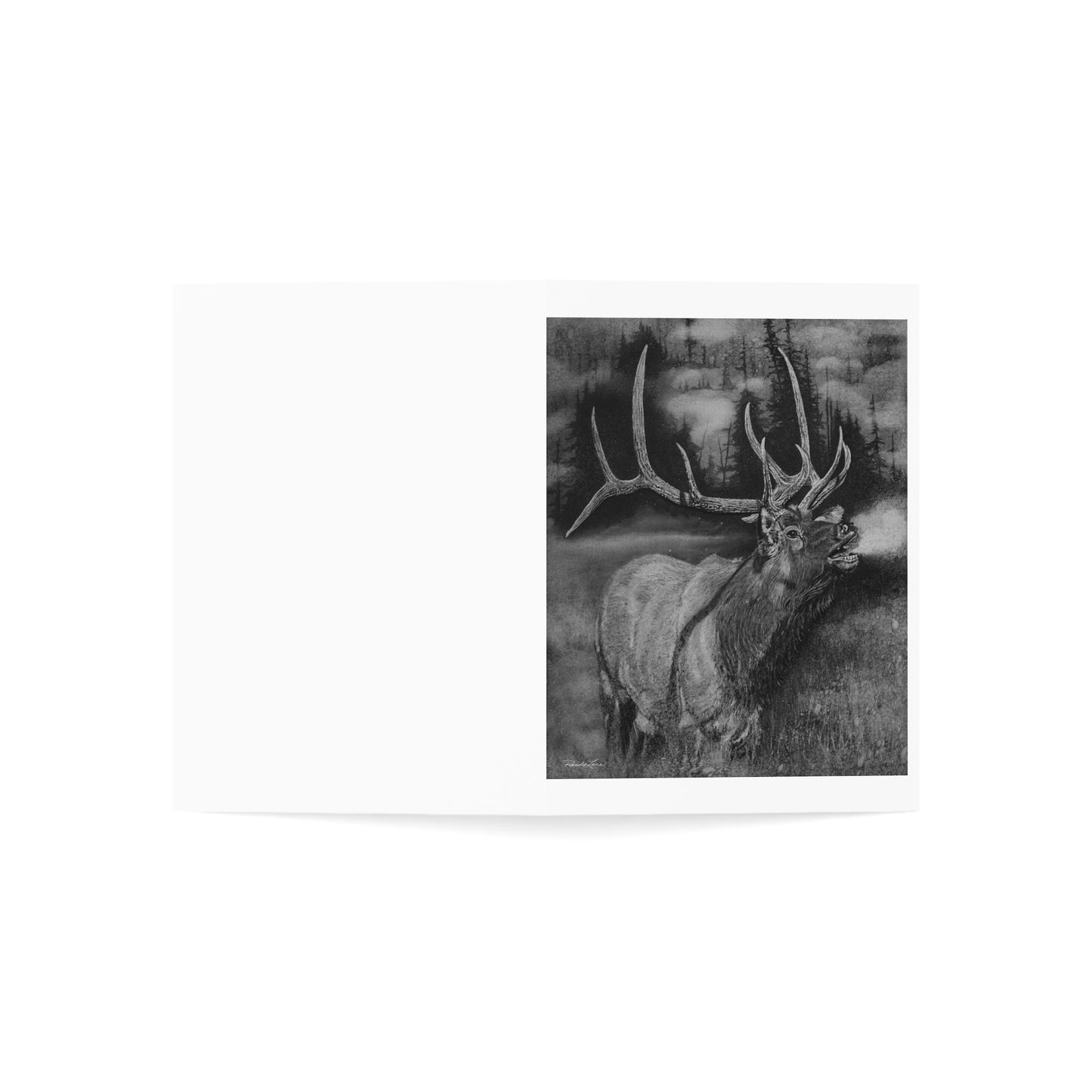 Mountain Music, Elk Greeting Cards