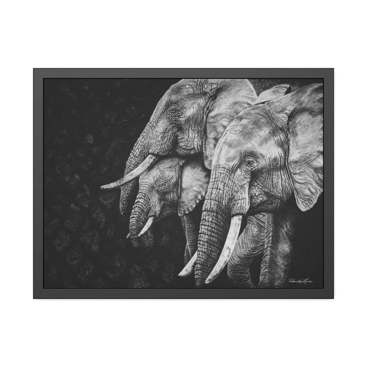 Brushland Bond. Elephant Framed Fine Art Print