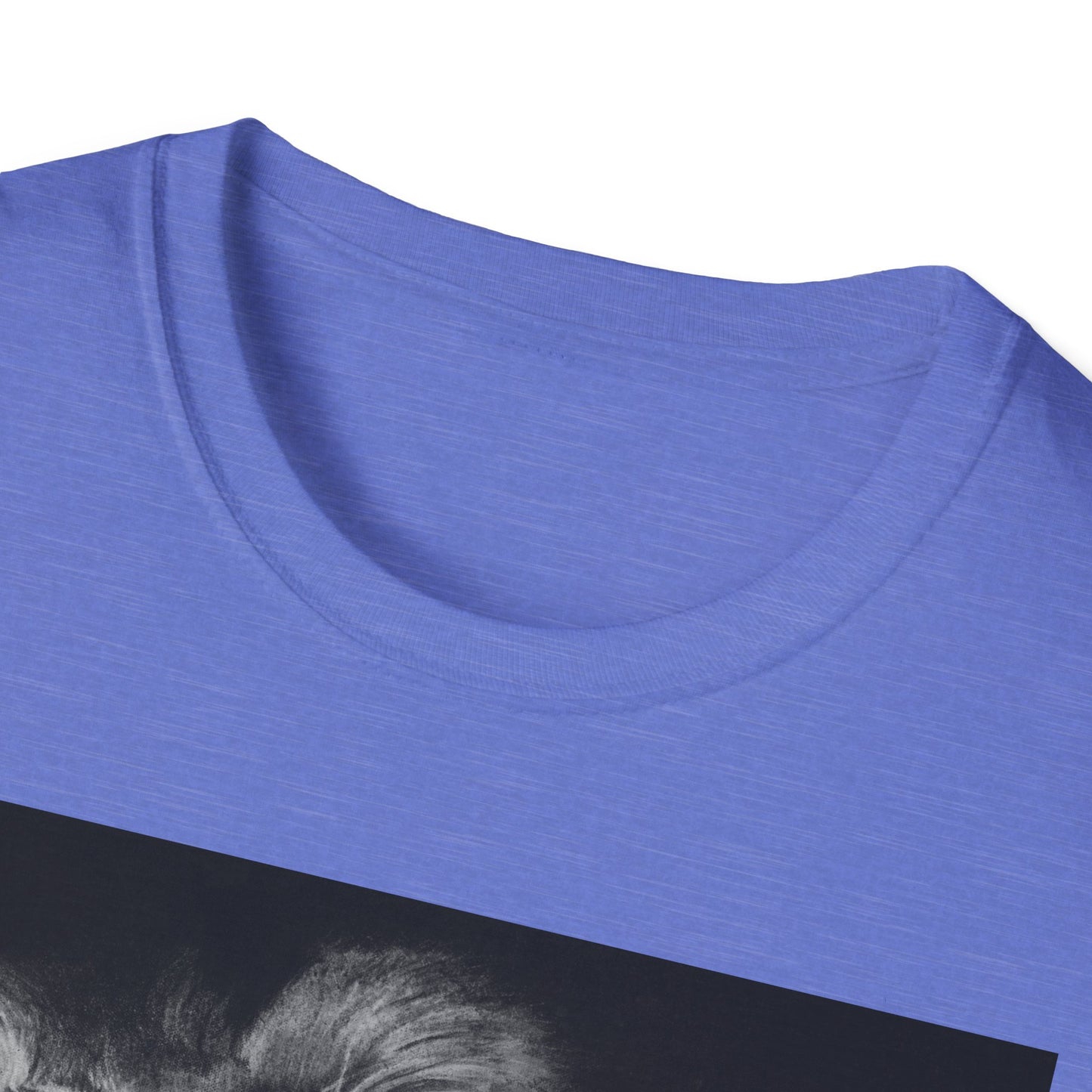 Renown, Lion Graphic T-Shirt, Unisex Lion Tee