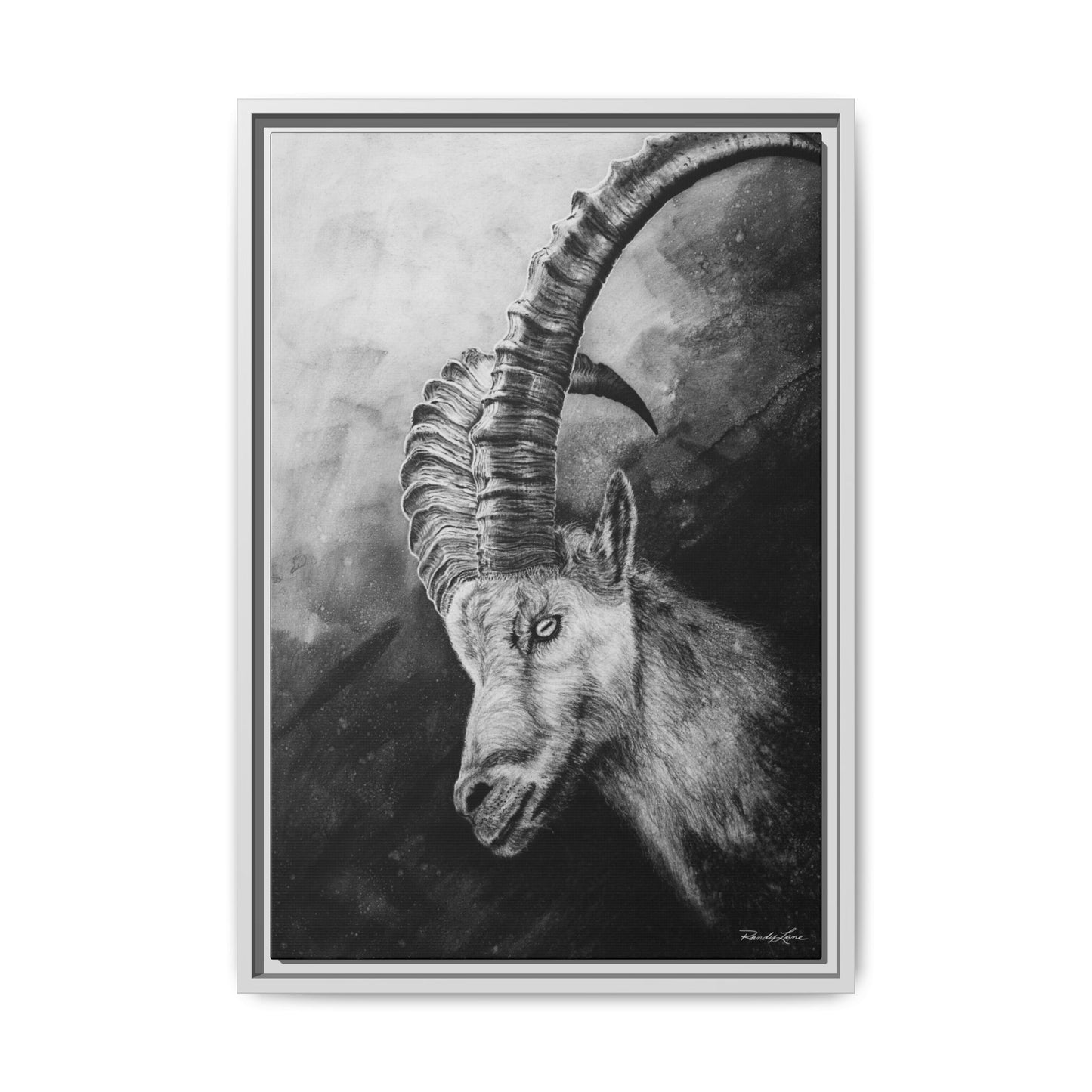 Apex,  Alpine Mountain Goat, Framed Matte Canvas Art Print,