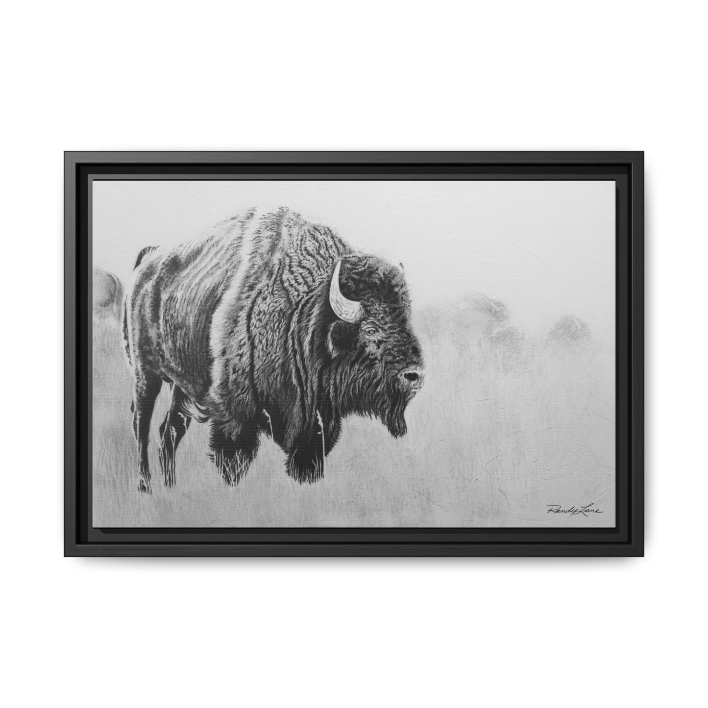 Prairie Bison, Bison Painting Framed Matte Canvas Print — Black & White Wildlife Wall Art