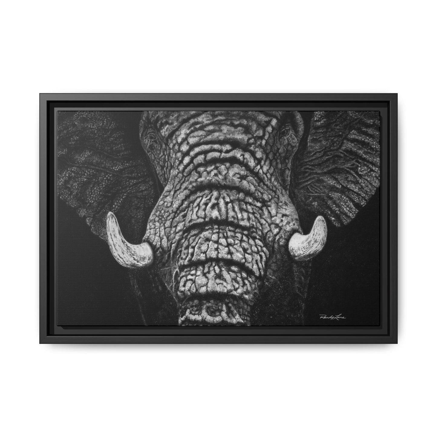 Ebony and Ivory, Elephant Portrait Framed Canvas Wall Art