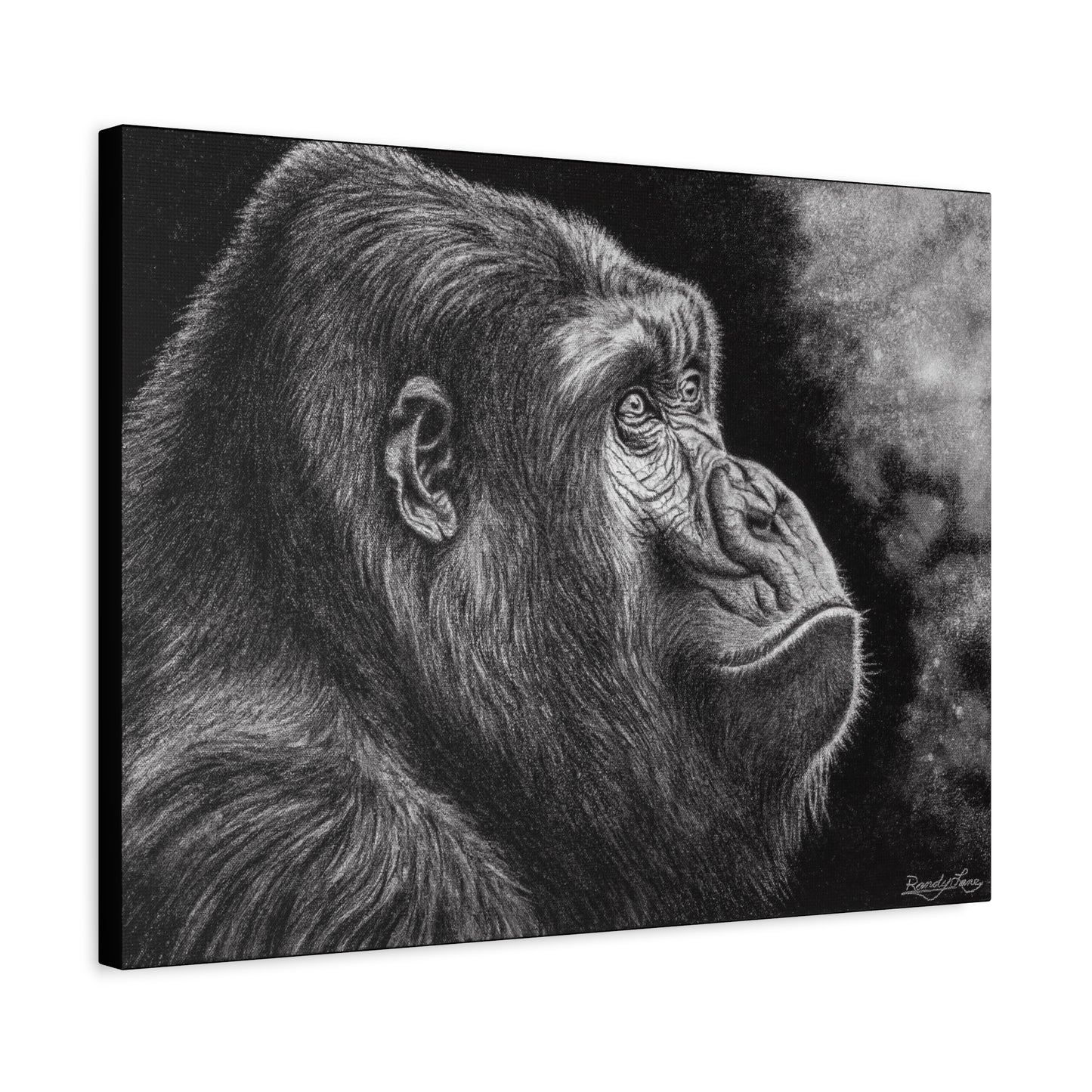 Gorilla, Artistic Gorilla Stretched Canvas Wall Art