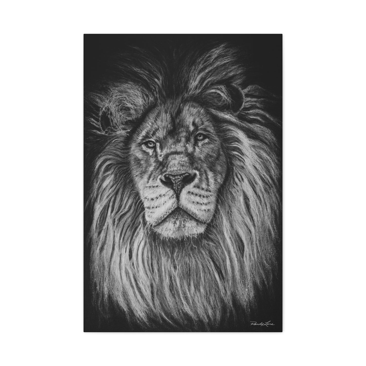 The Mane Event, Matte Canvas Lion Print, Stretched, 1.25"