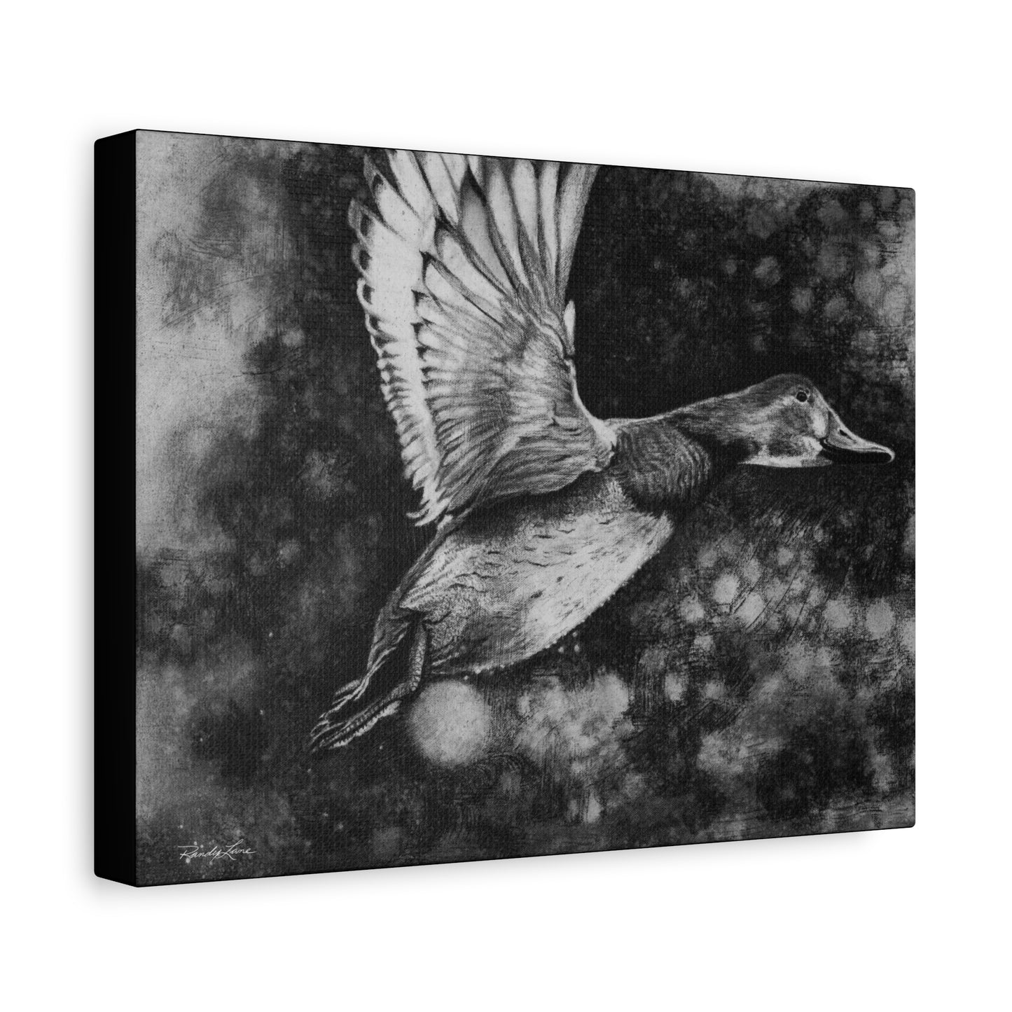 Flare, Elegant Duck Wall Art, Matte Stretched Canvas