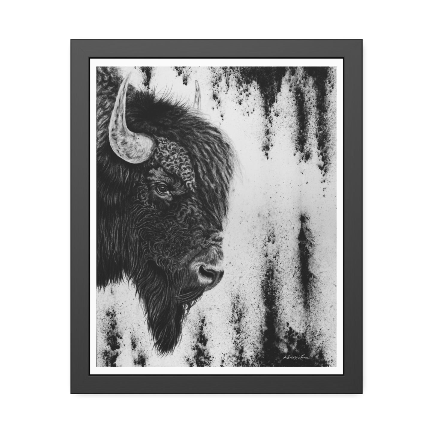 Pride, Bison Framed Fine Art Prints
