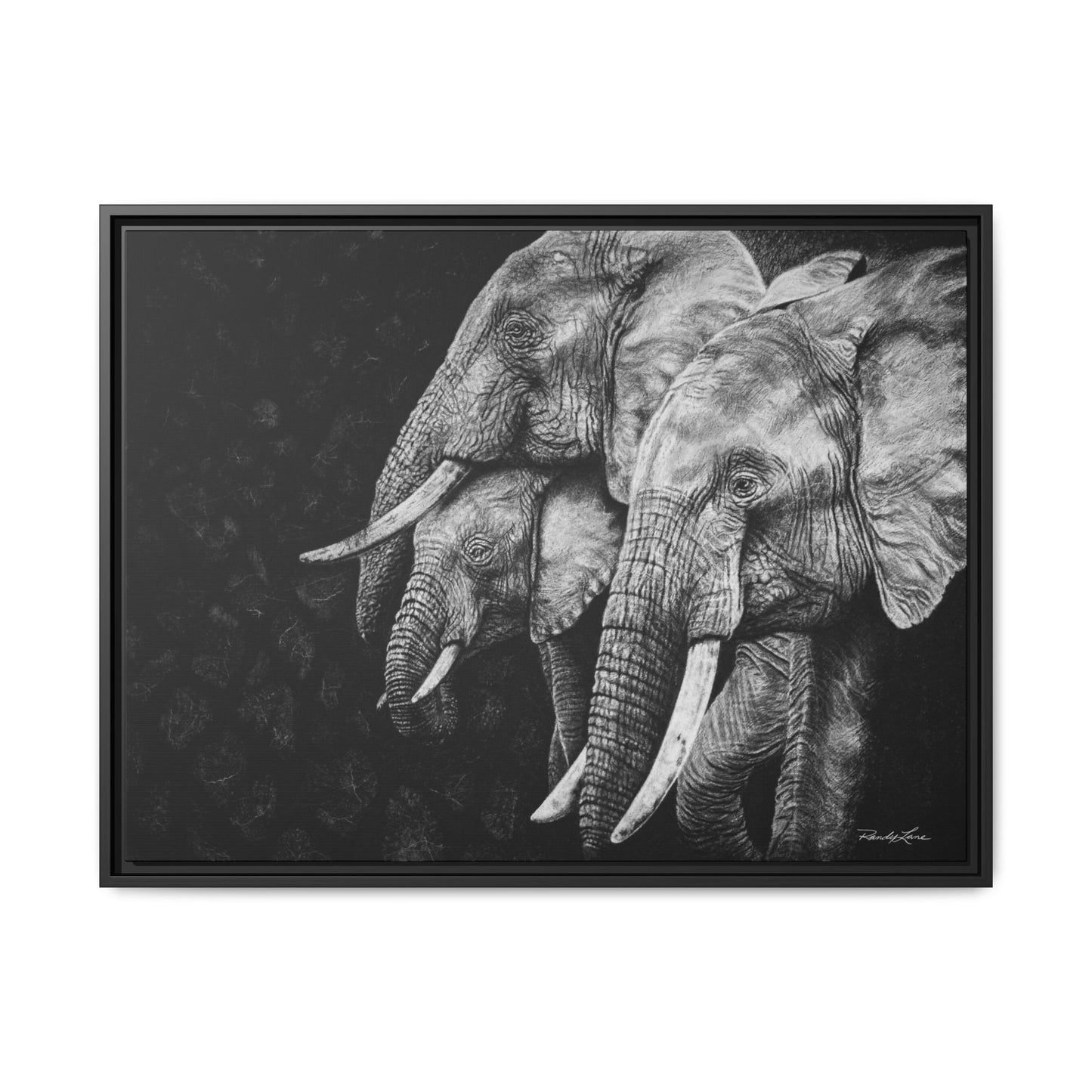 Brushland Bond. Elephant Art Framed Stretched Matte Canvas Print
