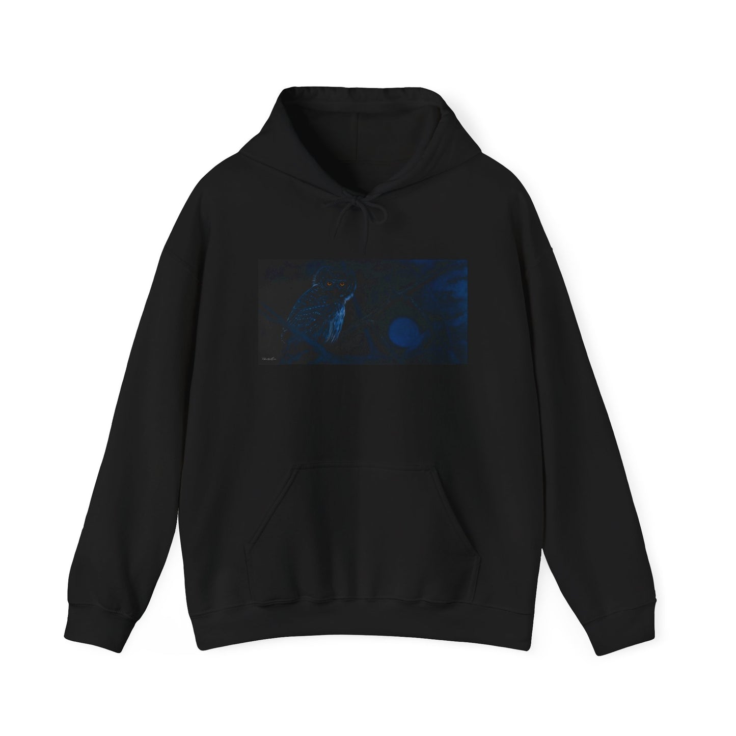 Bright Eyes, Owl print Cozy Unisex Hooded Sweatshirt