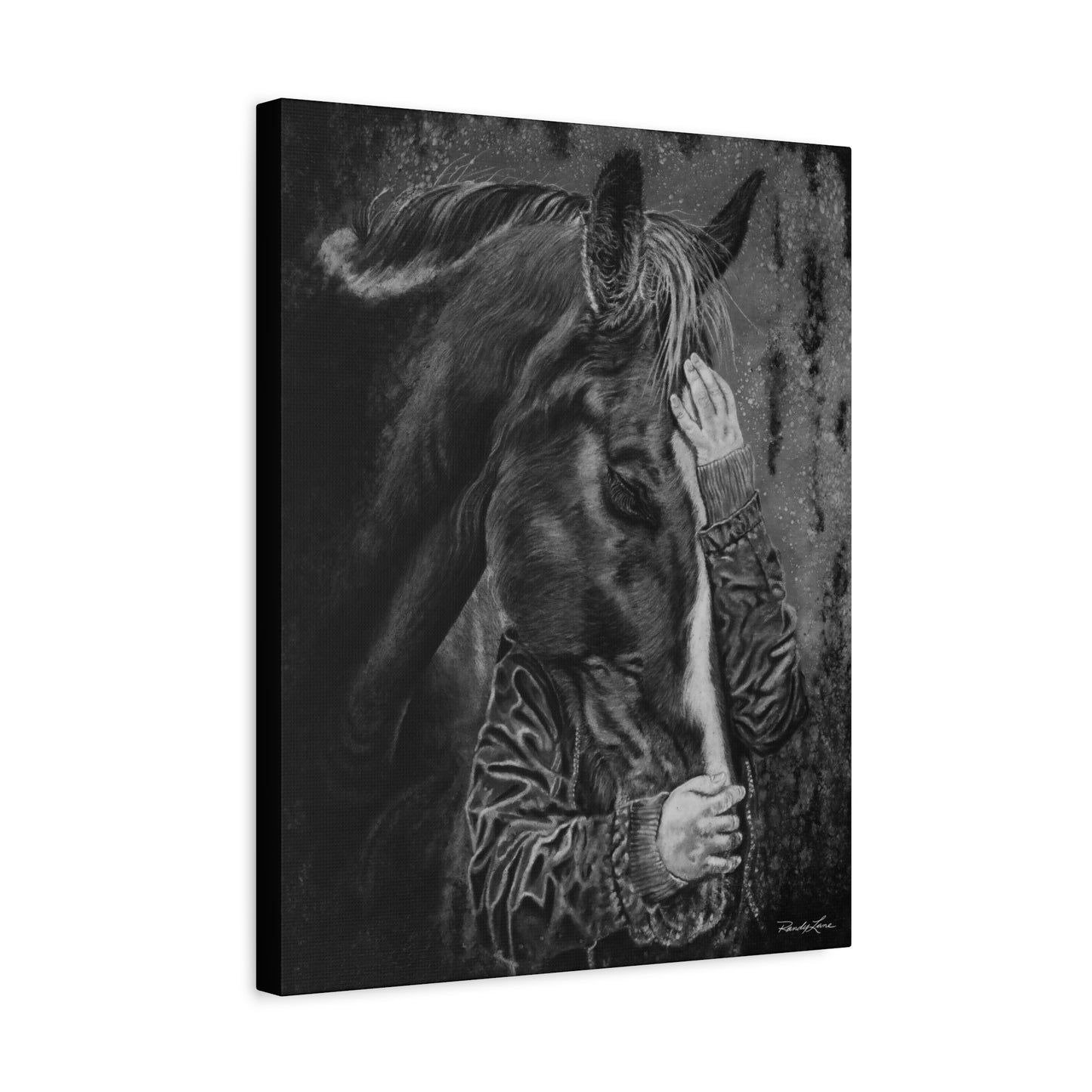 Secrets. Horse Lover's Stretched Matte Canvas Art Print