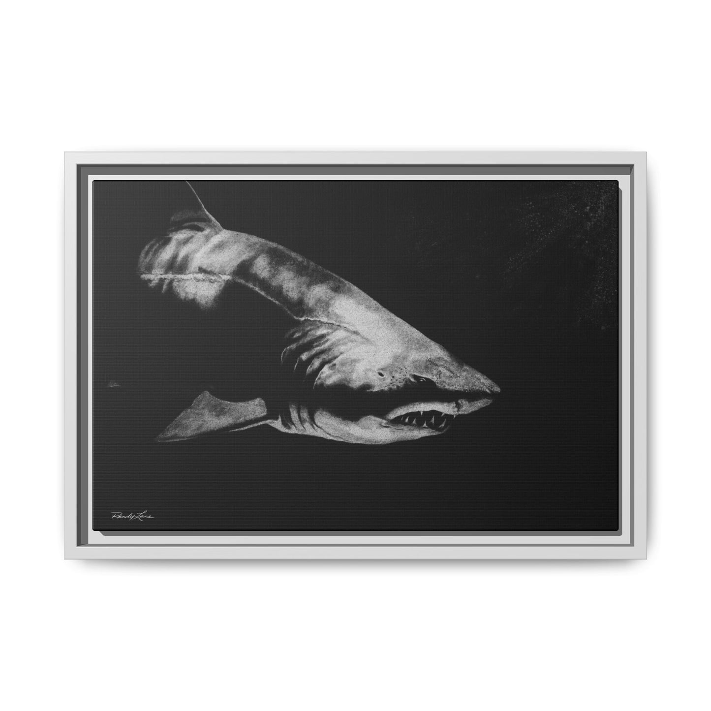 Below, Framed Shark Fine Art Print, Matte Canvas Wall Decor
