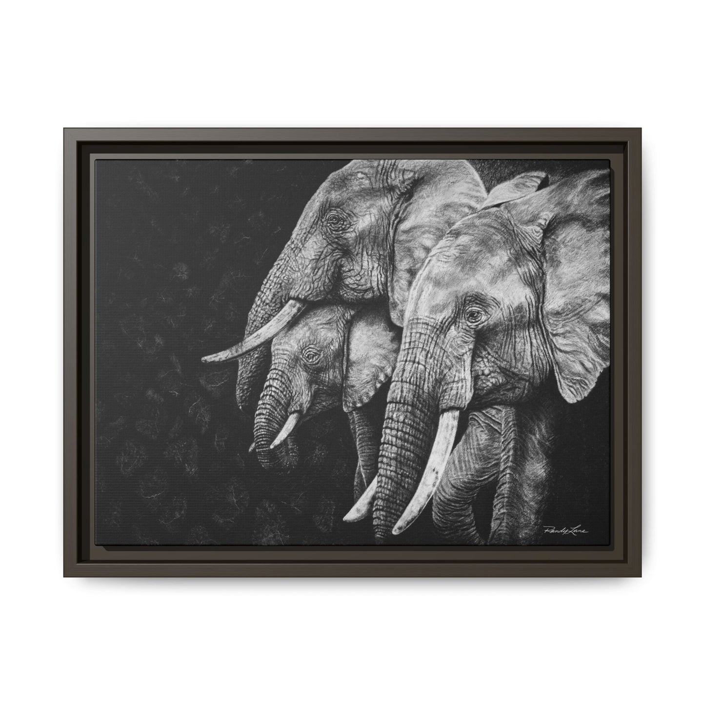 Brushland Bond. Elephant Art Framed Stretched Matte Canvas Print