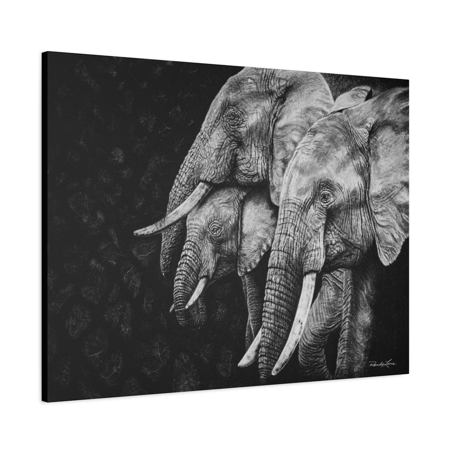 Brushland Bond. Elephant Art Stretched Canvas Print