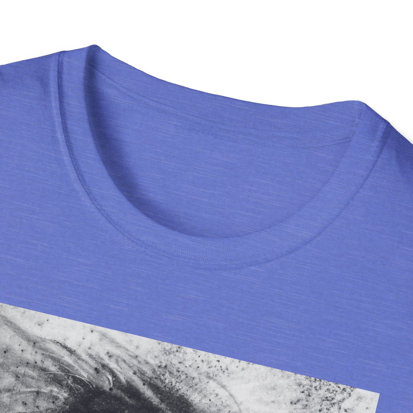 Let the Lion Roar, Lion Graphic Tee, Unisex T-Shirt