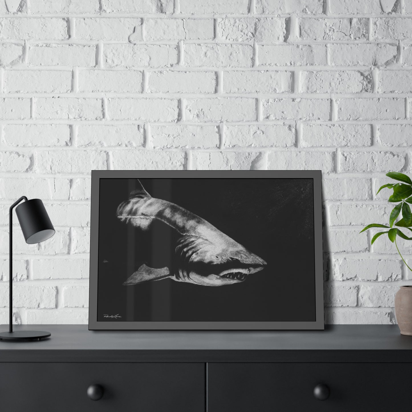 Below, Shark Framed Fine Art Print