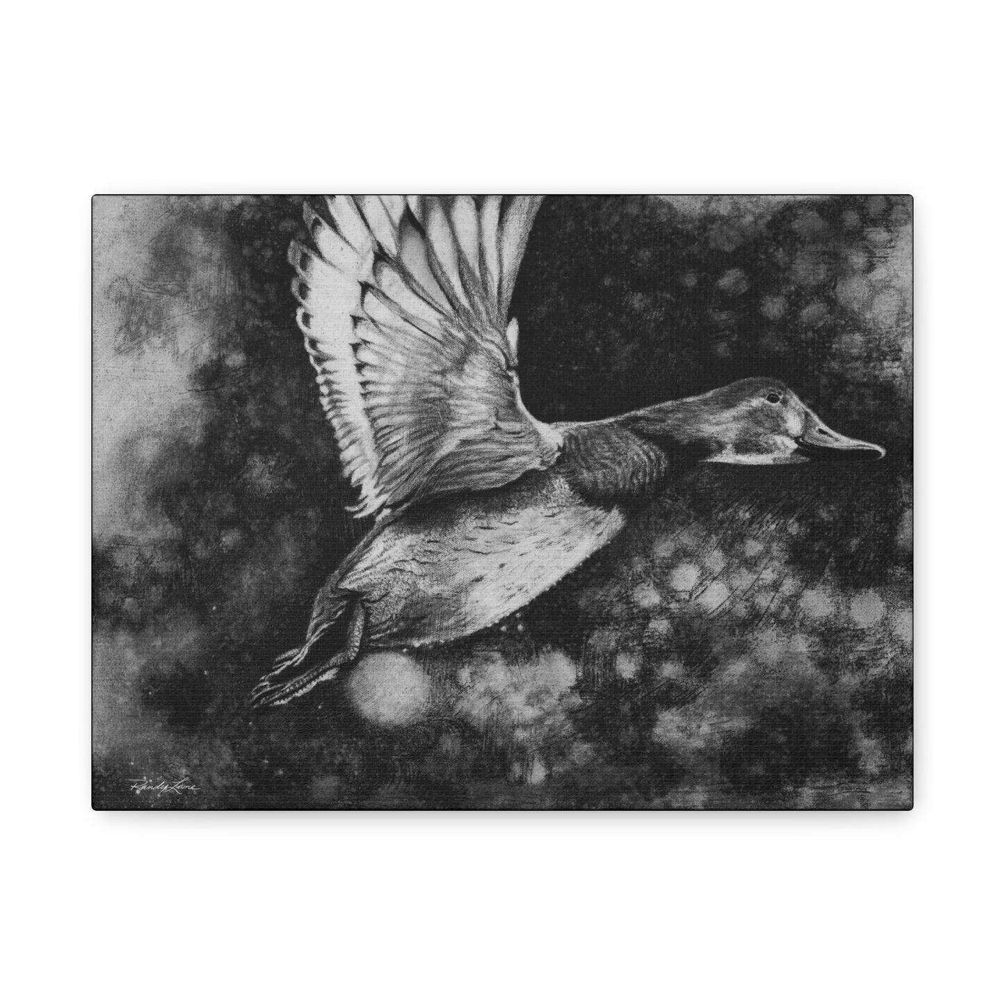 Flare, Elegant Duck Wall Art, Matte Stretched Canvas