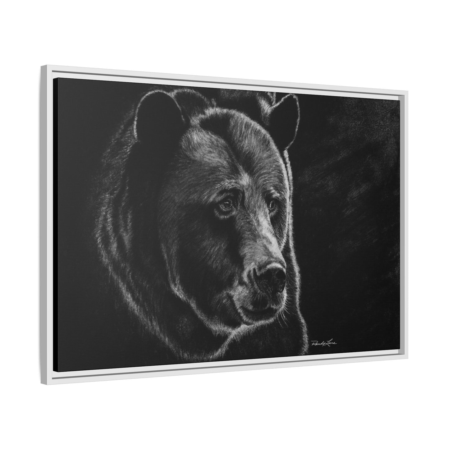 Dominance, Bear Portrait Stretched Framed Matte Canvas Print