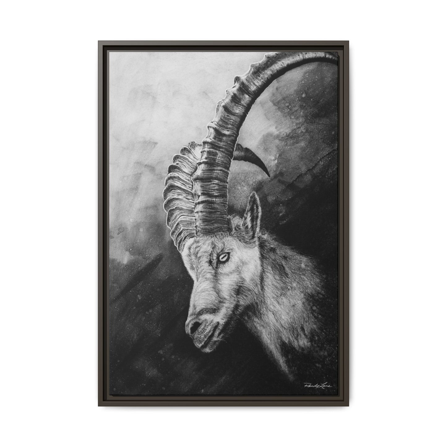 Apex,  Alpine Mountain Goat, Framed Matte Canvas Art Print,