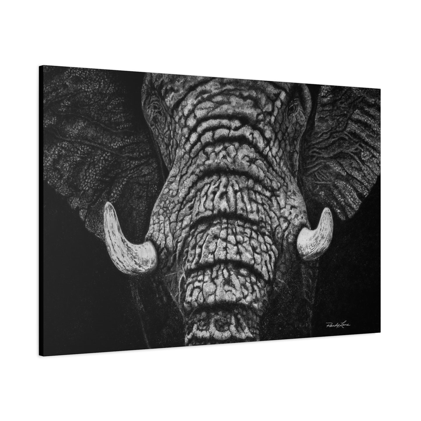Ebony and Ivory, Stretched Canvas Wall Art Featuring Majestic Elephant