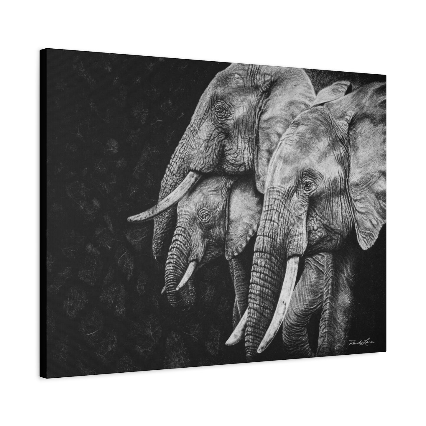 Brushland Bond. Elephant Art Stretched Canvas Print