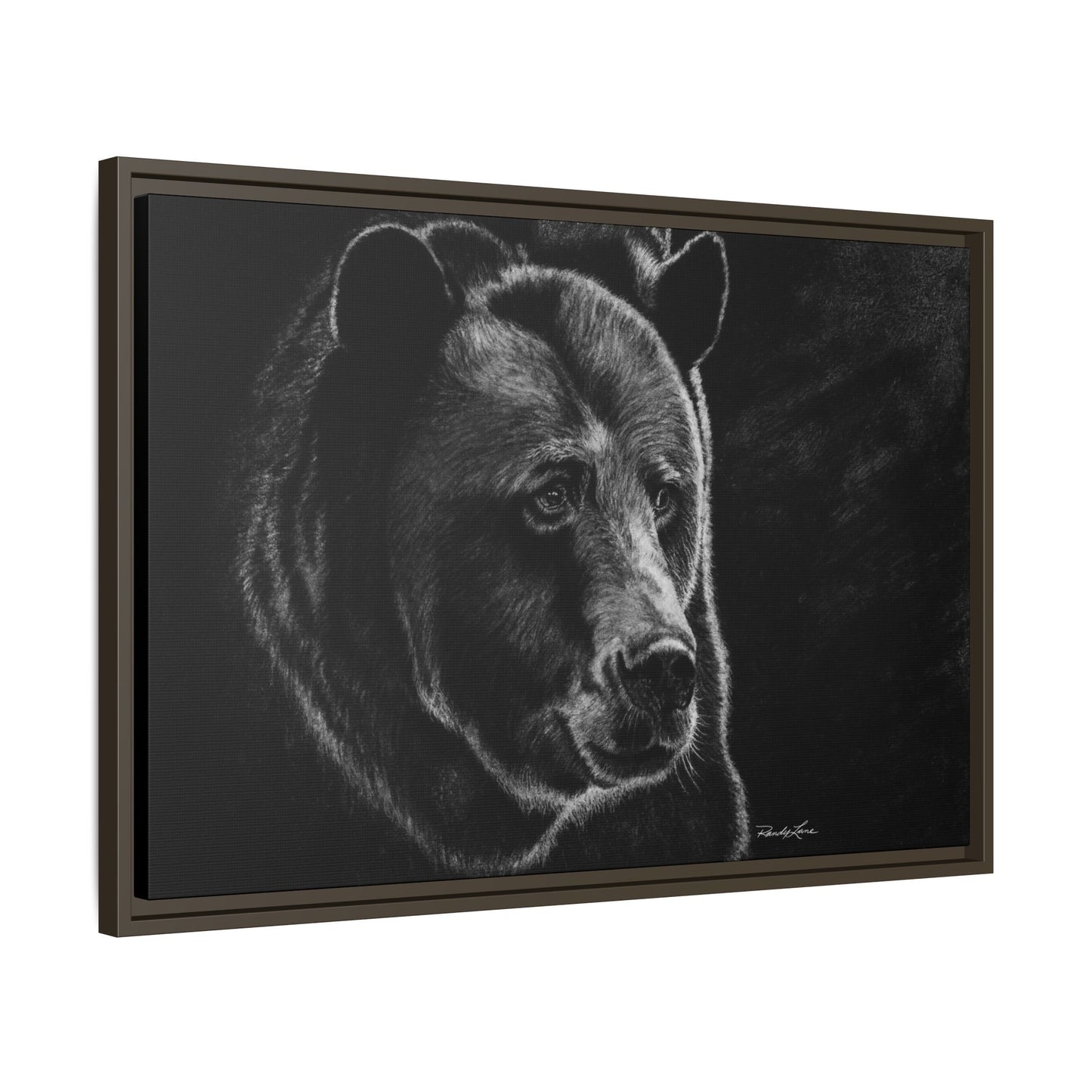 Dominance, Bear Portrait Stretched Framed Matte Canvas Print