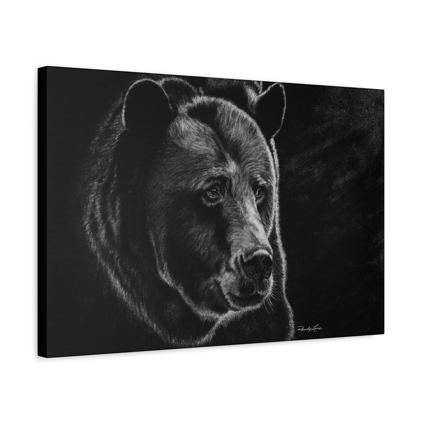 Dominance, Stretched Canvas Bear Print