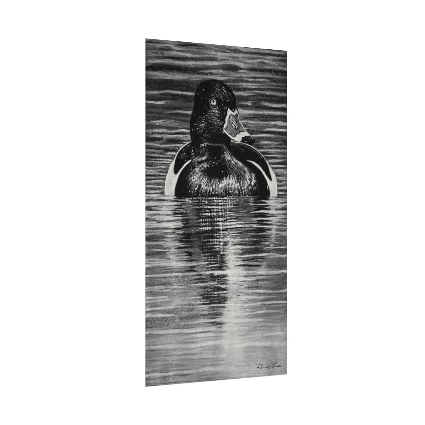 Reflection, Ring necked Duck Painting, Textured Matte Print