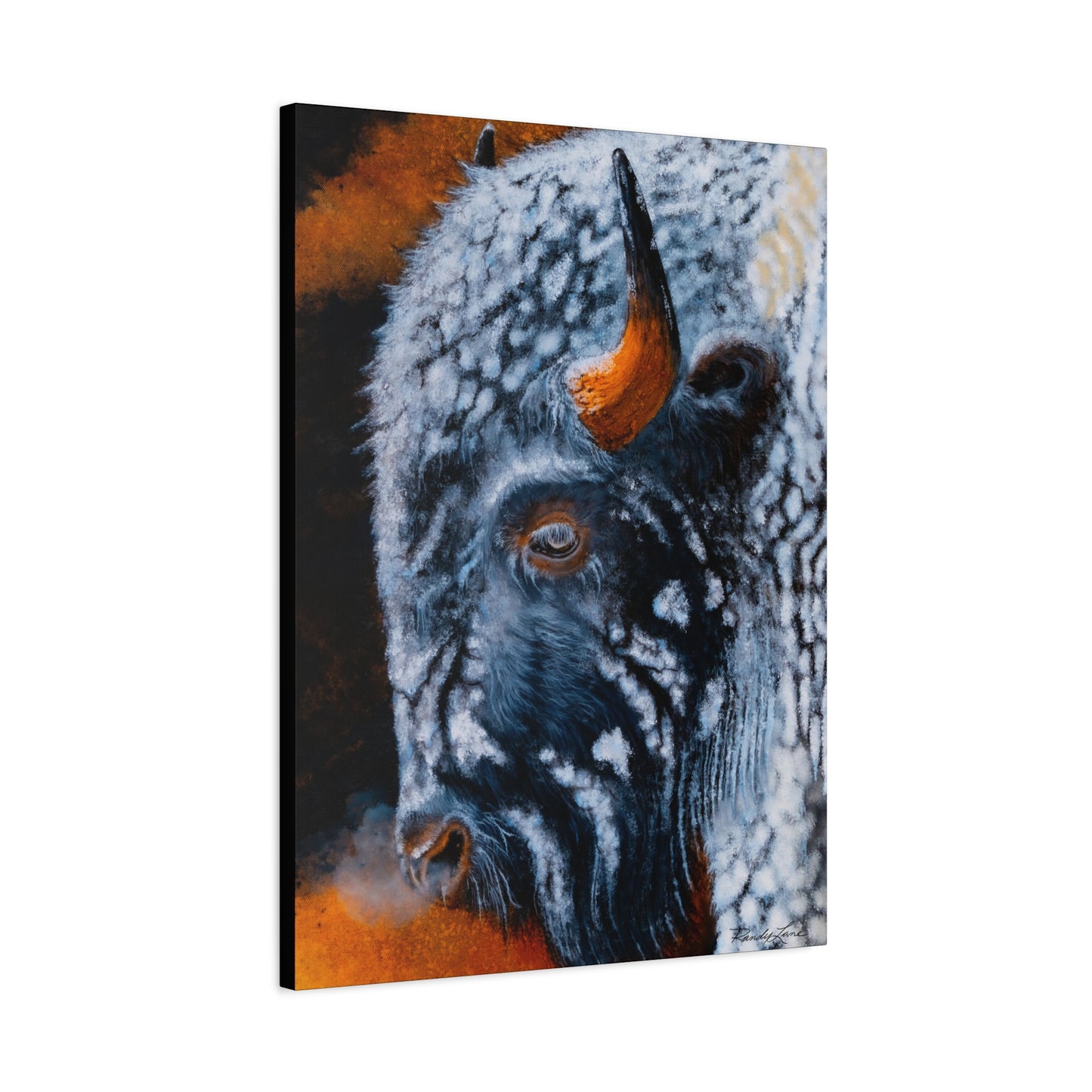 Storm Bison, Stretched Canvas Art Print
