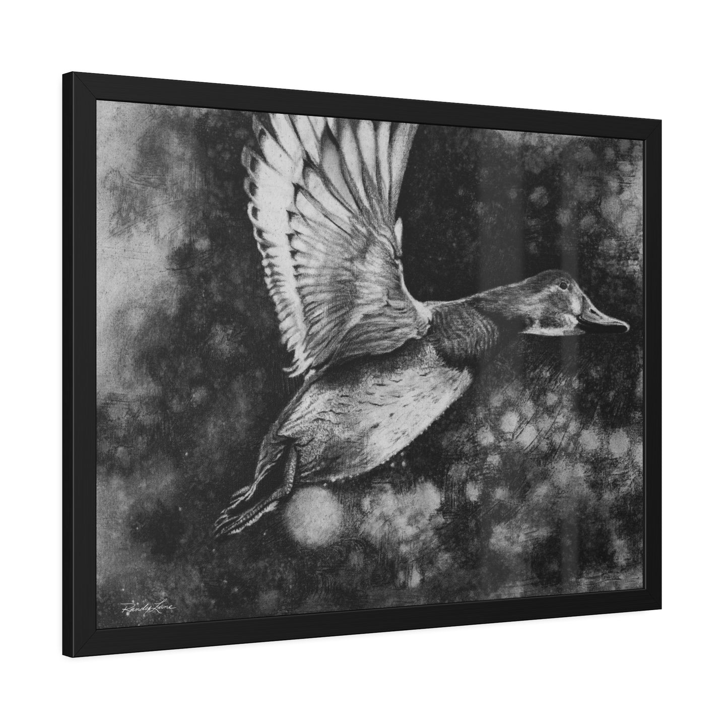 Flare, Framed Fine Art Print Duck in Flight