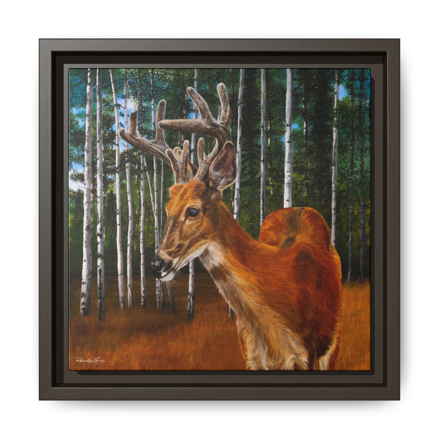 Velvet Crush, Framed Deer Canvas Art